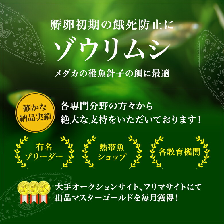 送料無料★ゾウリムシ 種水500ml+培養餌100回分のセット めだかグッピーベタ金魚の稚魚シュリンプの生餌 ミジンコクロレラPSB同梱可の画像2