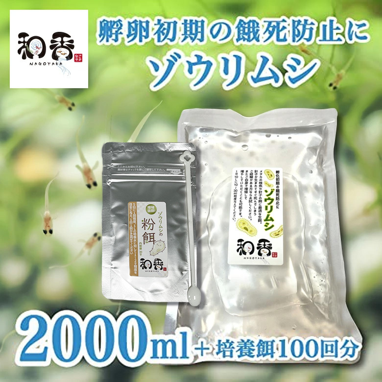 ゾウリムシ 種水2000ml+培養餌100回分のセット★大増殖・100回分餌付★ めだかグッピーベタシュリンプ金魚の稚魚 ミジンコ 生餌クロレラの画像2