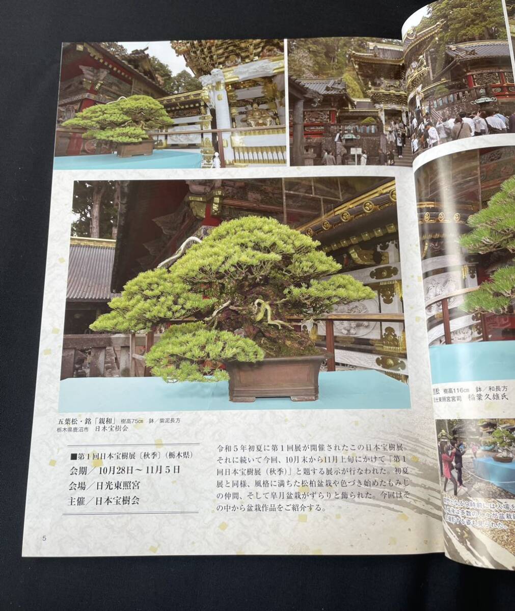 近代盆栽 3冊セット 近代出版 月刊近代盆栽の画像2