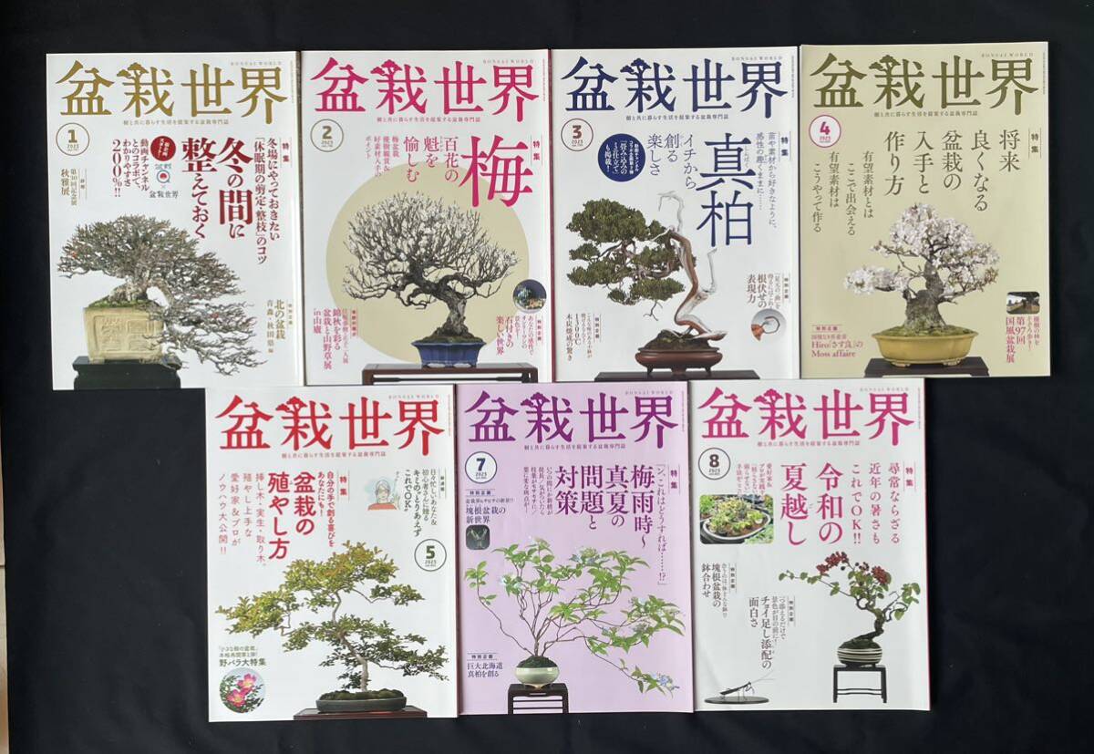 盆栽世界 14冊セット五葉松 黒松 真柏の画像2