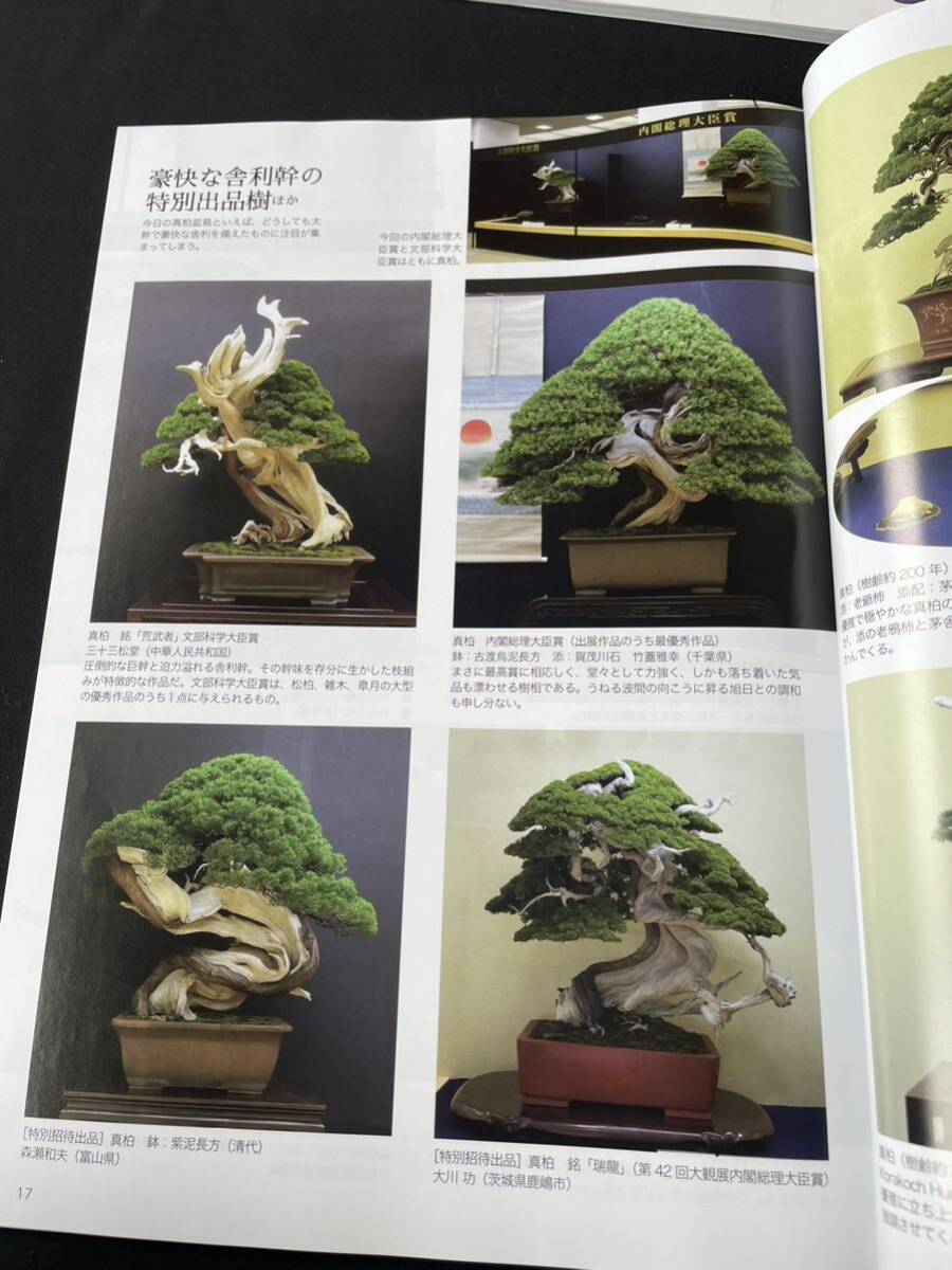 盆栽世界 14冊セット五葉松 黒松 真柏の画像4