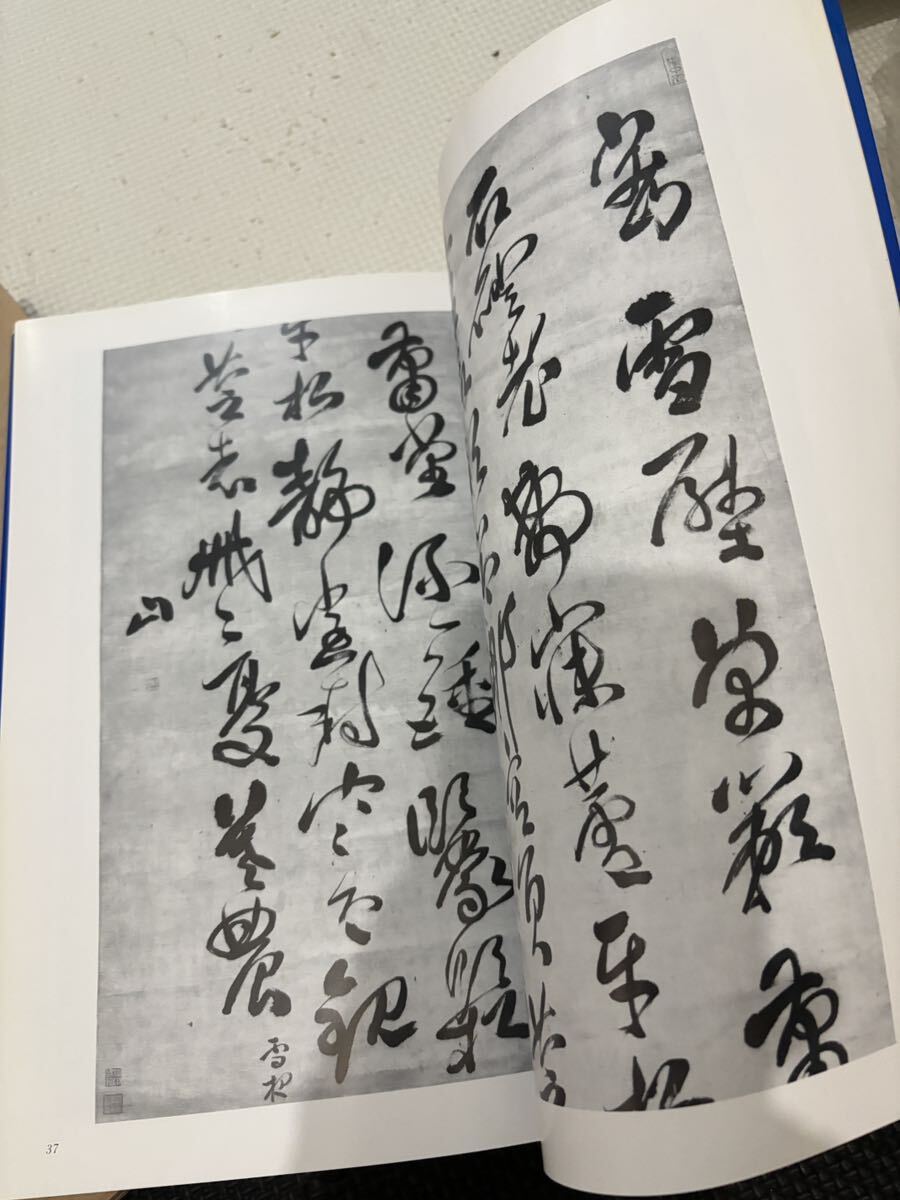 傅山の書法 二玄社_画像9