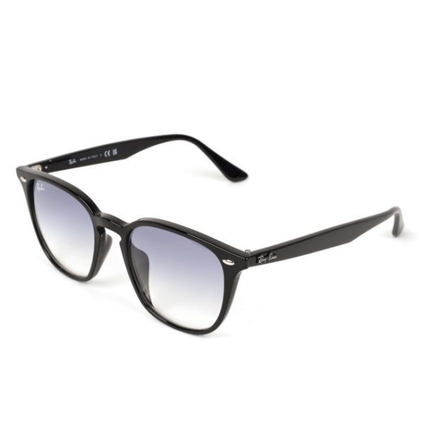 1円スタート Ray-Ban RB4258 601 19 52/サングラス/ローブリッジ/ドライブ/アウトドア/釣り/紫外線/軽量/海/眼鏡/メガネ/ウェリントン