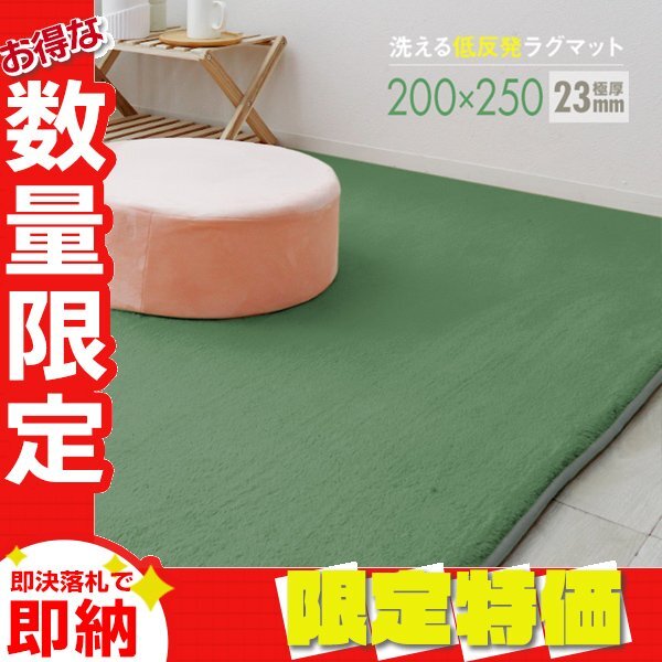 【限定セール】ラグ カーペット ラグマット Lサイズ 200x250cm 極厚23mm 3.2畳 床暖房 抗菌 防ダニ 低反発 絨毯 リビング マット 緑の画像1