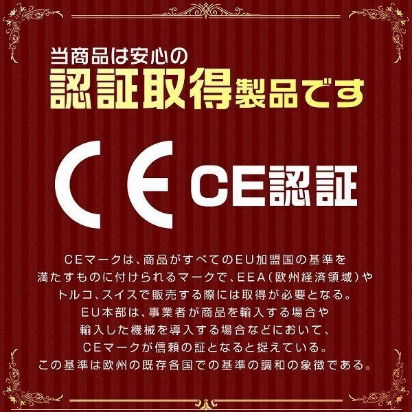 【限定セール】10個セット レバーホイスト 定格荷重0.25t 250kg チェーンホイスト TUV認証済 玉掛け ジャッキ ガッチャ チェーンブロック_画像5