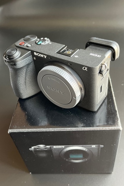 SONYα6700 ボディILCE-6700 美品の画像3