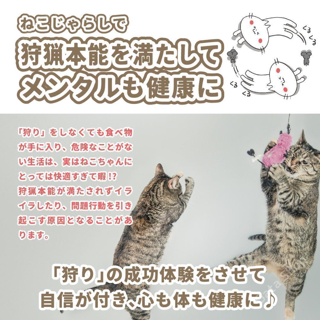 ねこじゃらし 猫 おもちゃ 猫の ネコ 猫グッズ 自動 一人遊び 猫用 猫用品 楽しい しつけ ストレス発散 運動不足解消 健康 愛用 おすすめの画像9