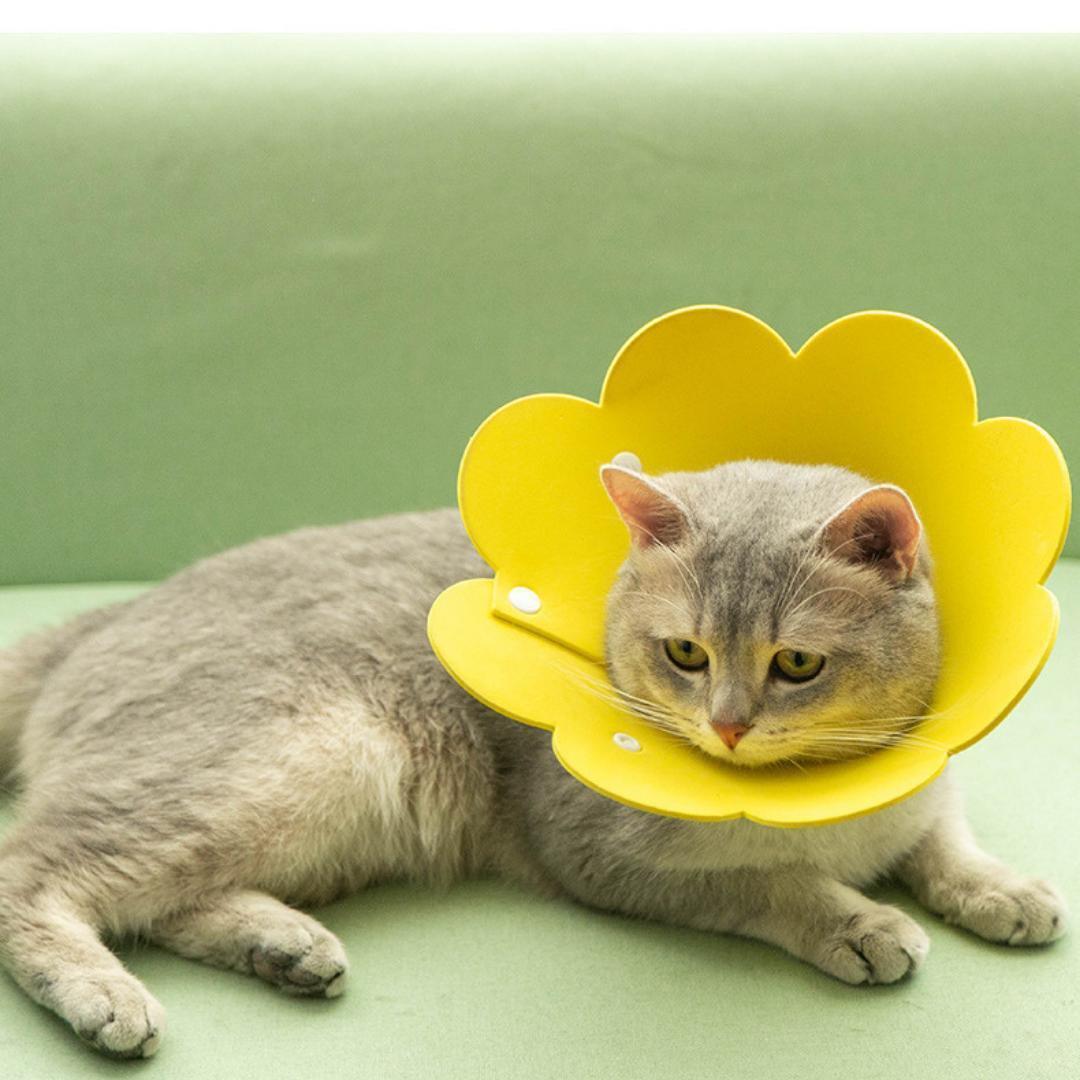 エリザベスカラー 黄 M 猫 ネコ 軽量 柔らかい 傷舐め防止 治療 ひっかき_画像3