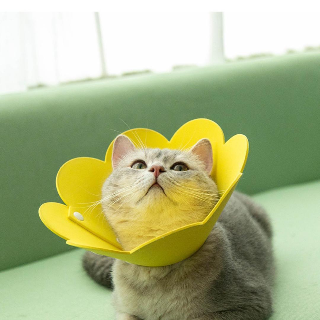 エリザベスカラー 黄 M 猫 ネコ 軽量 柔らかい 傷舐め防止 治療 ひっかき_画像2