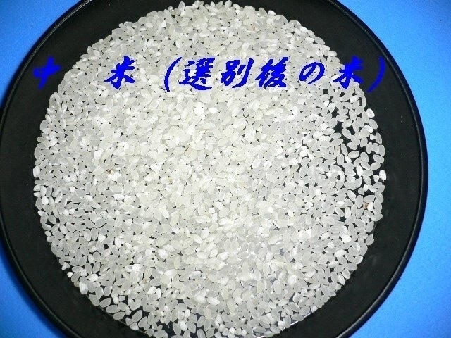 新米！！ 令和5年産 中 米（業務用米）  令和 5年産ブレンド米 白米 ２０ｋｇ １０kg×２袋 の画像2