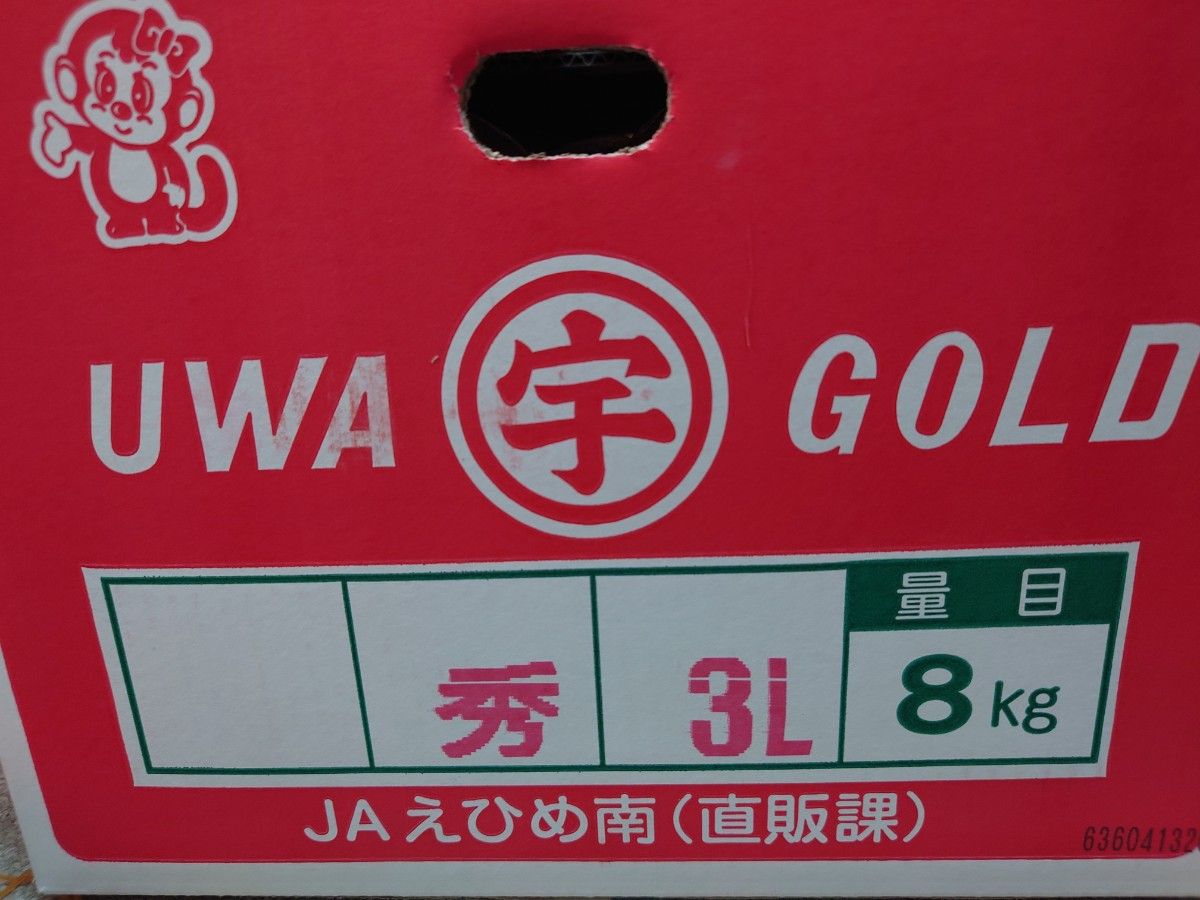 日本のグレープフルーツ　宇和ゴールド3L8キロ