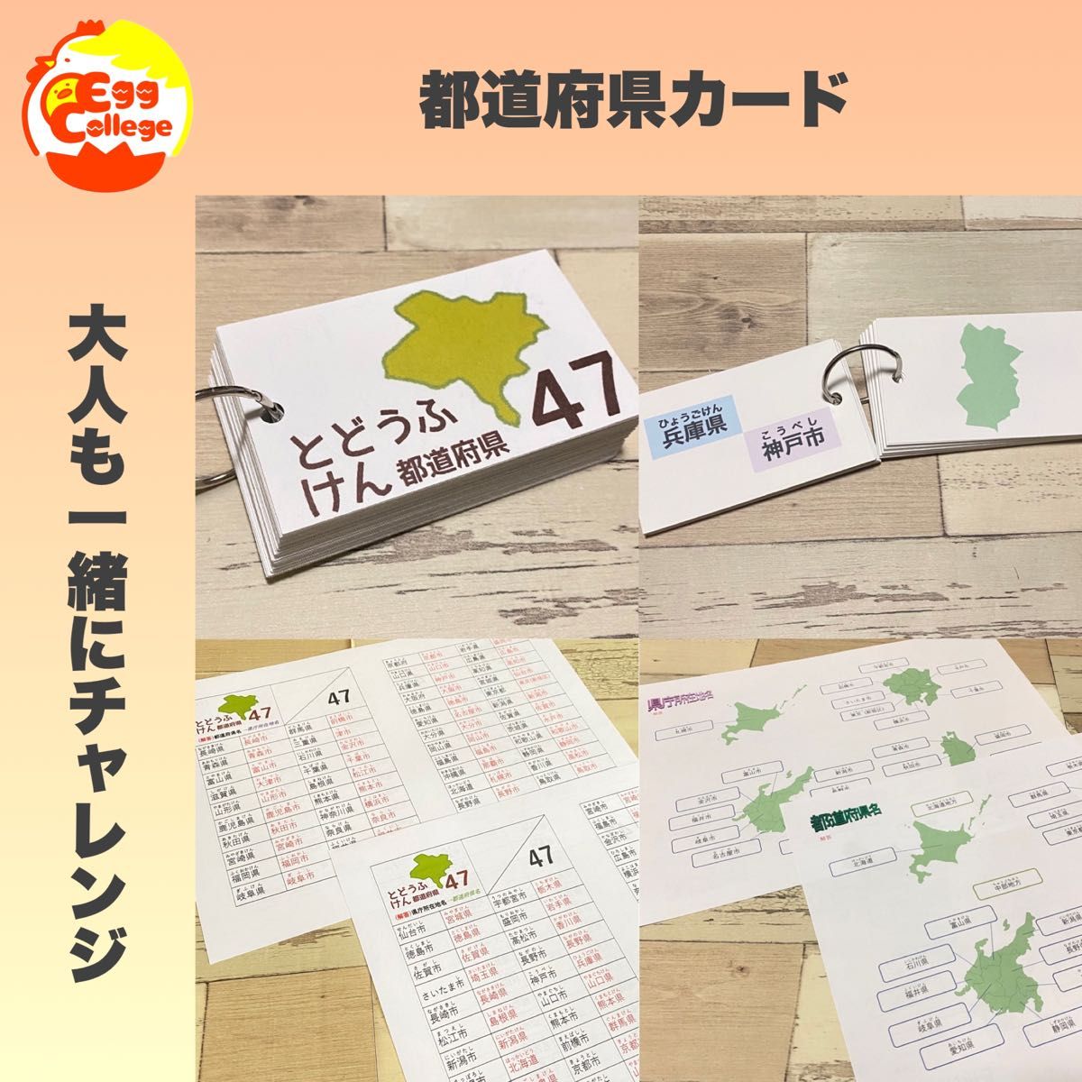 社会　都道府県　県庁所在地カード　小学生　中学生　知育教材　定期テスト　暗記カード　単語カード　問題用紙　知育玩具　幼児教育　保育