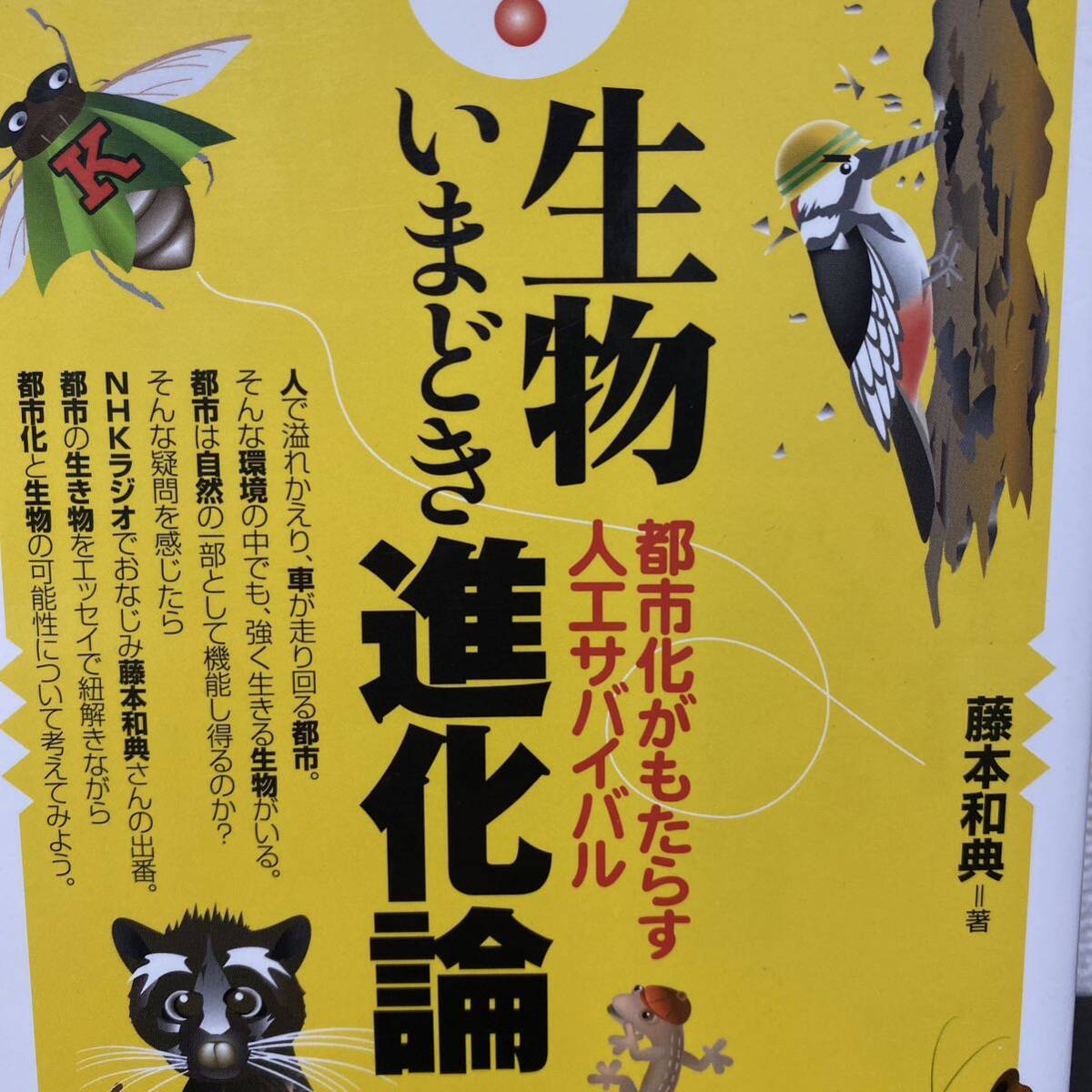 生物いまどき進化論　都市化がもたらす人工サバイバル （知りたい！サイエンス　０６９） 藤本和典／著_画像1