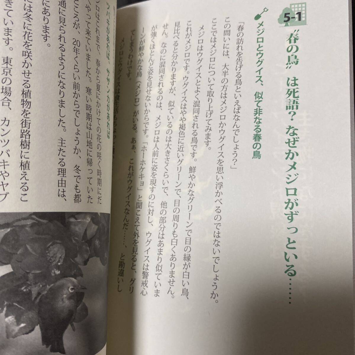 生物いまどき進化論　都市化がもたらす人工サバイバル （知りたい！サイエンス　０６９） 藤本和典／著_画像8