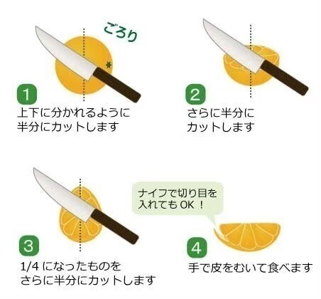 清見オレンジ　訳あり品　木熟　和歌山県産　１０kg　