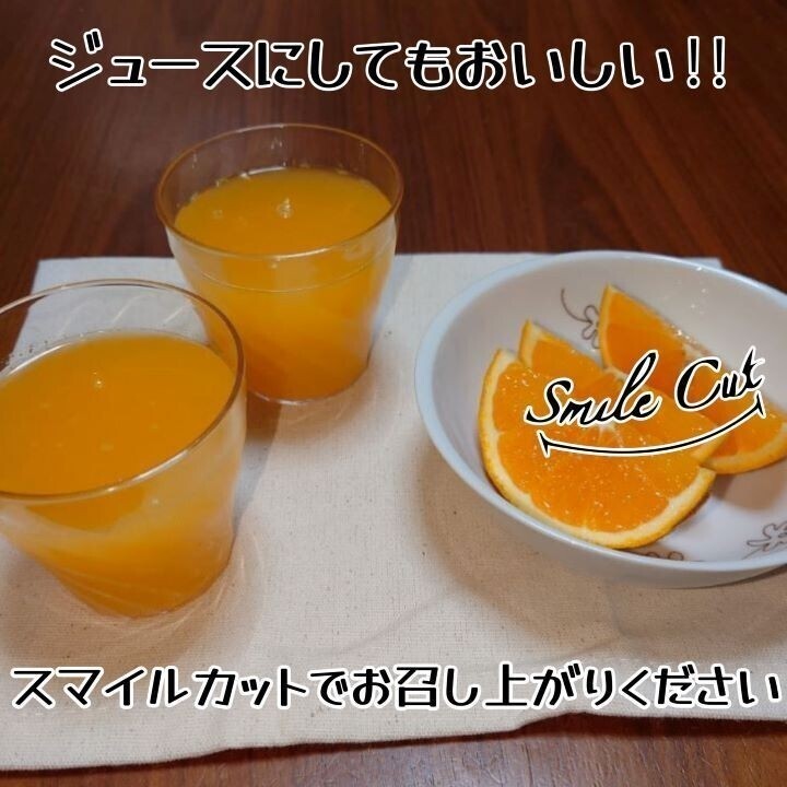 清見オレンジ 木熟 葉付き 家庭用 10kgの画像8