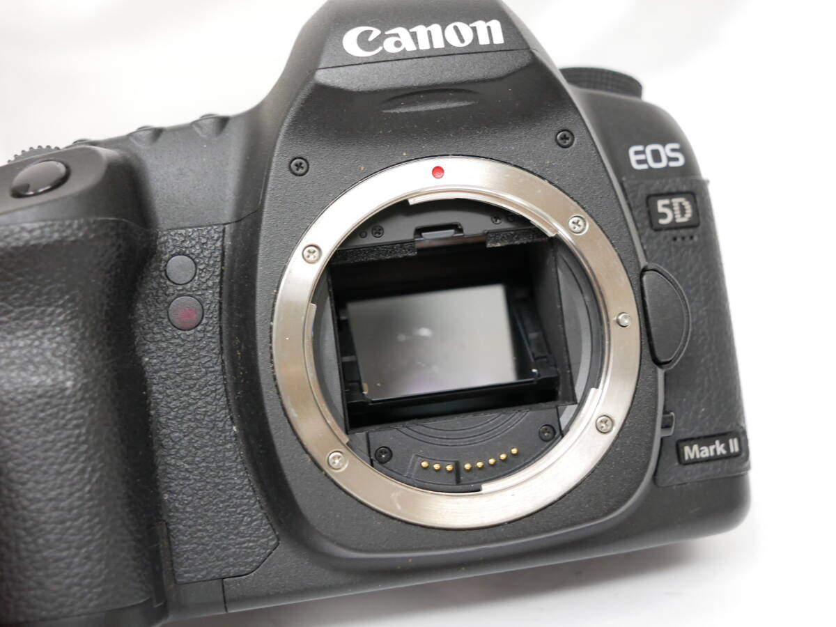 #1733 CANON EOS 5D Mark II EF 28-135mm 135mm F2.8 sigma 400mm F5.6 キャノン デジタル一眼レフカメラ