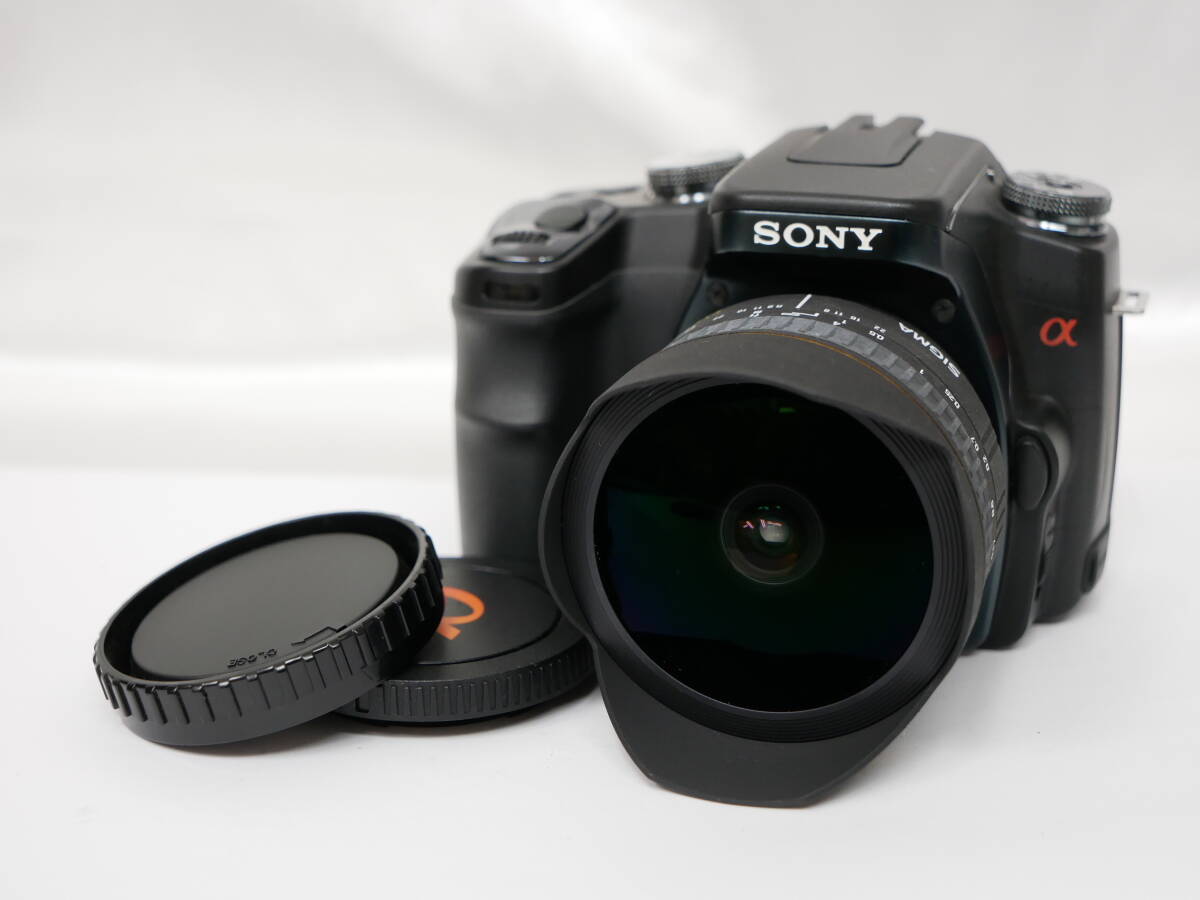 #1617 Sony DSLR-A100 sigma 15mm F2.8 EX DG Fisheye α100 ソニー シグマ デジタル一眼レフカメラの画像1