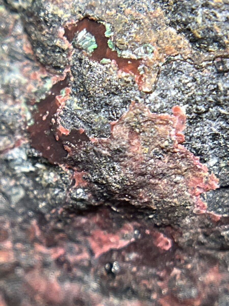 ニッケル孔雀石 浅葱石 多様な鉱物！ 国産鉱物の画像6