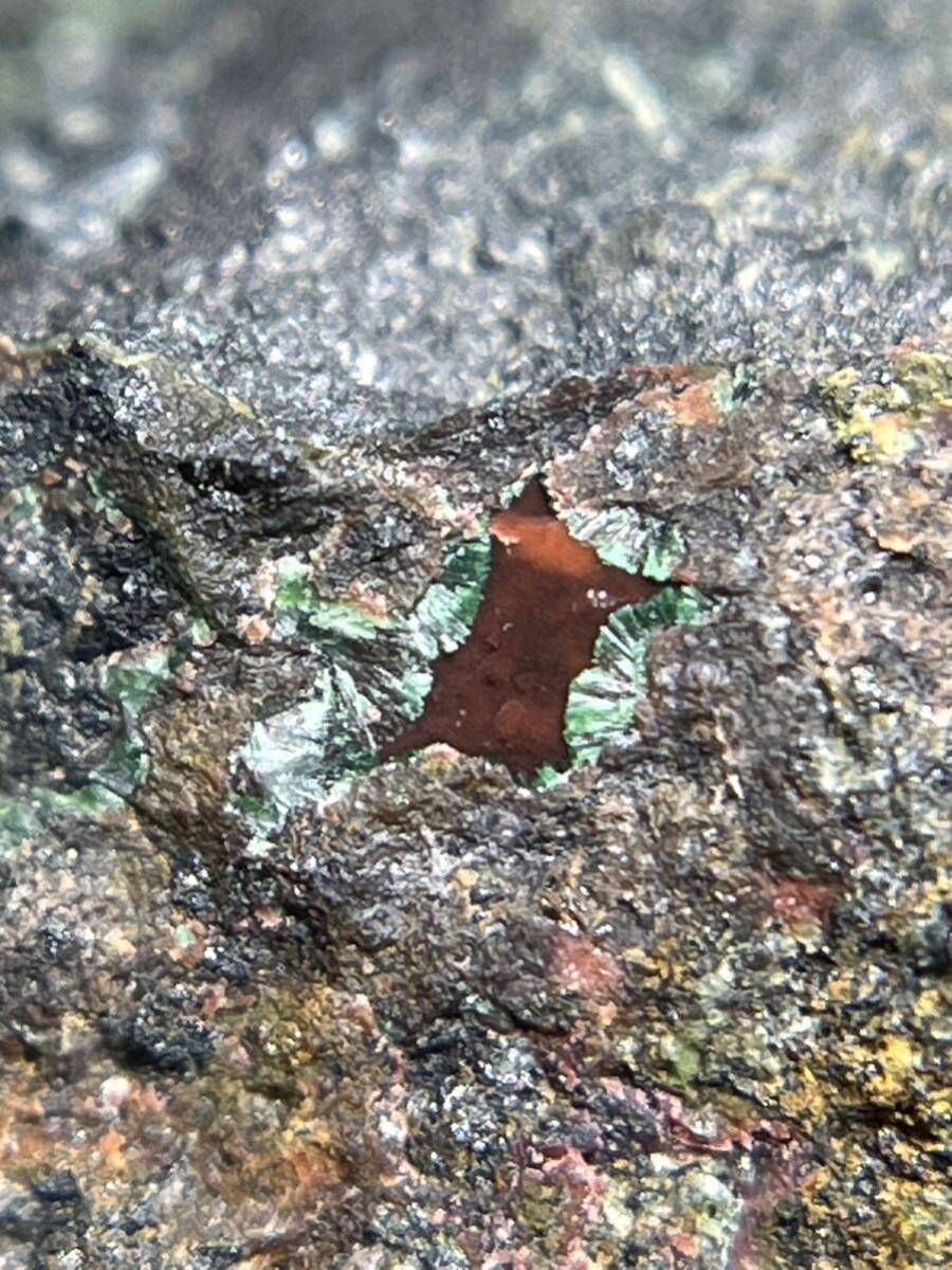 ニッケル孔雀石 浅葱石 多様な鉱物！ 国産鉱物の画像3