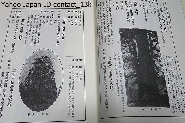  photograph map opinion * Japan .. name tree serious .*5 pcs. / Japan each ground ... remainder ...* name tree ... day person himself. life . plot of land . in addition, deep . understanding make one ..... it would be greatly appreciated 