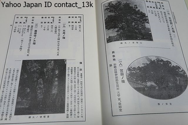  photograph map opinion * Japan .. name tree serious .*5 pcs. / Japan each ground ... remainder ...* name tree ... day person himself. life . plot of land . in addition, deep . understanding make one ..... it would be greatly appreciated 
