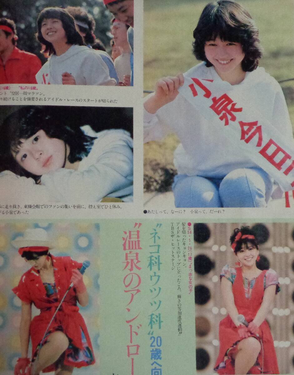 ★送料無料 写楽 1985年9月号 美池真理子 舵川まり子 小泉今日子の画像3