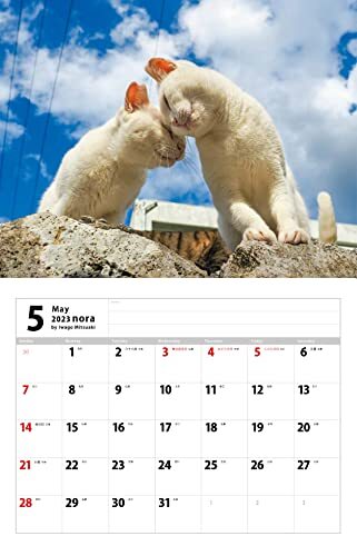 2023猫カレンダー のら ( カレンダー )_画像3