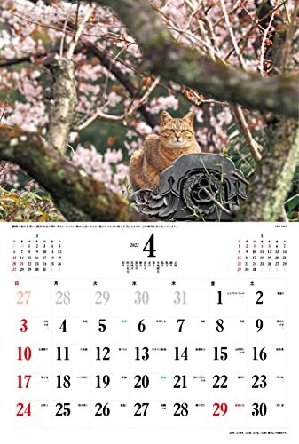 2022年カレンダー 日本の猫 ( カレンダー )_画像9