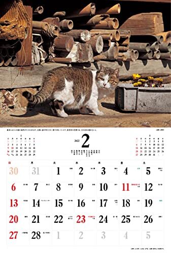 2022年カレンダー 日本の猫 ( カレンダー )_画像7