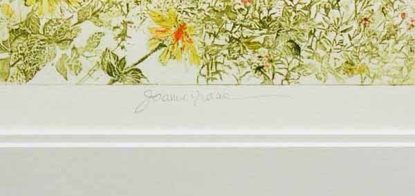 *1 jpy ~ GW sale * popular painter large size work jo Anne * Isaac (Joanne Isaac)[The Garden] woodcut autograph autograph go in / axis re-/ America ../. flower 