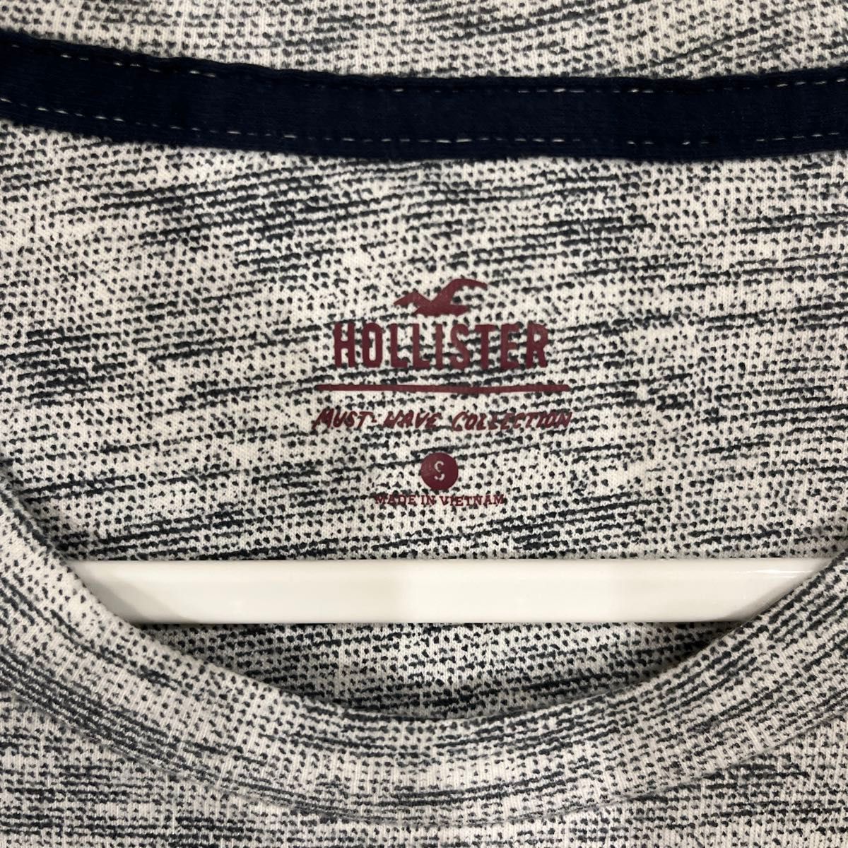 HOLLISTER Tシャツ メンズS【b】