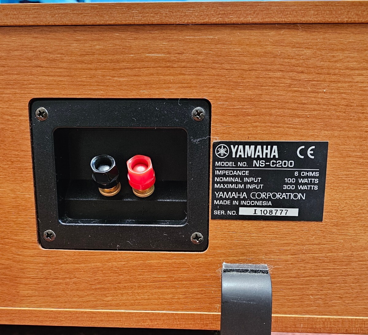 YAMAHA NS-C200の画像4