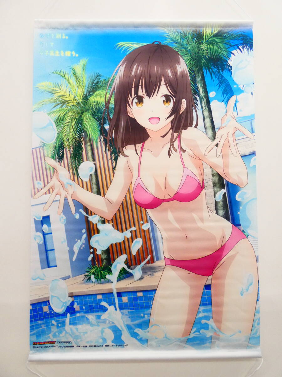 Dd5/ひげを剃る。そして女子高生を拾う。 ゲーマーズ全巻購入 Dd5/ひげを剃る。そして女子高生を拾う。 ゲーマーズ全巻購入