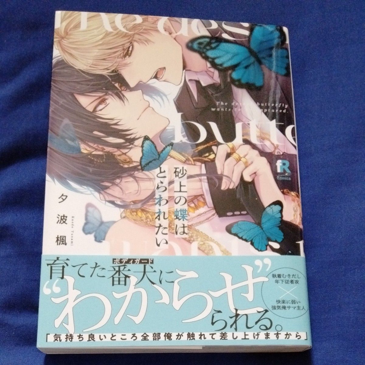 BL漫画4冊売り　夕波楓　小山璃子　宮田トヲル　影木栄貴