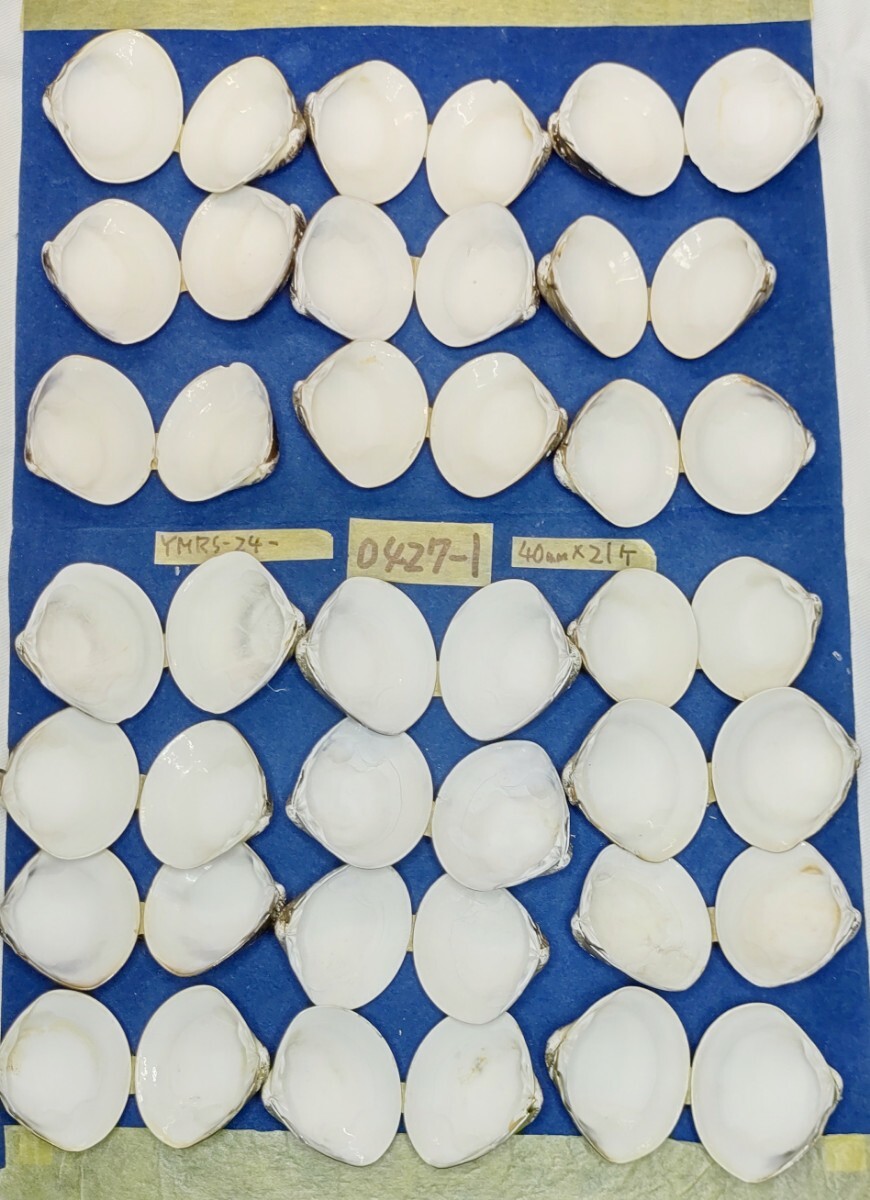 item_image_10