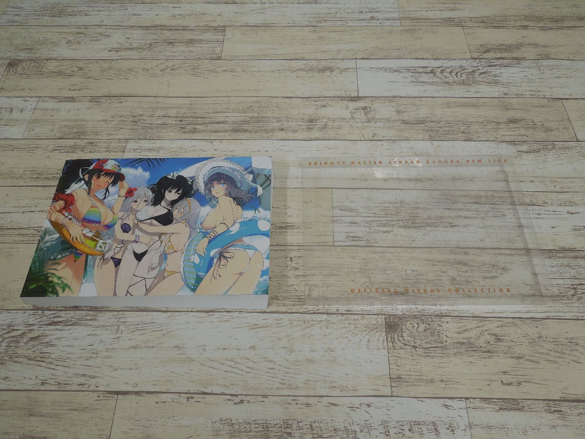 058A book of paintings in print shino bi master Senran Kagura NEW LINK[ used ]