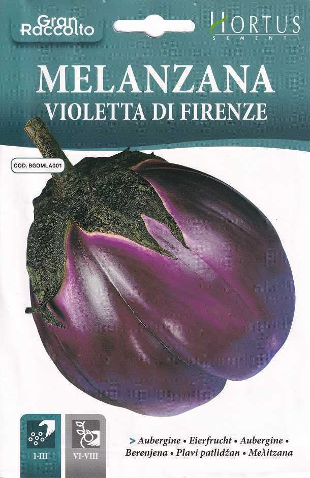 ナス フィレンツェの種子 8粒 FIRENZE トロトロ茄子 丸なす イタリアンナス 固定種の画像2