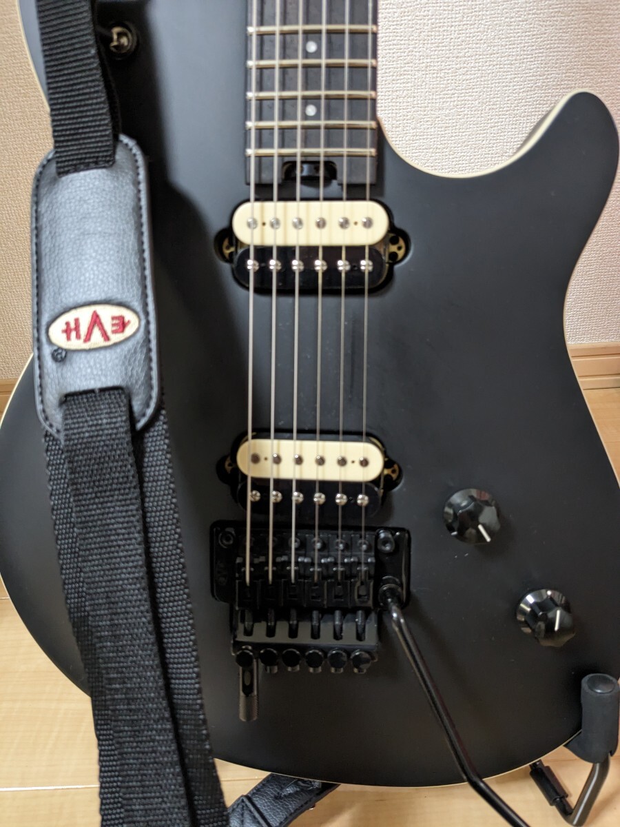 EVH wolfgang special stelth black_画像2