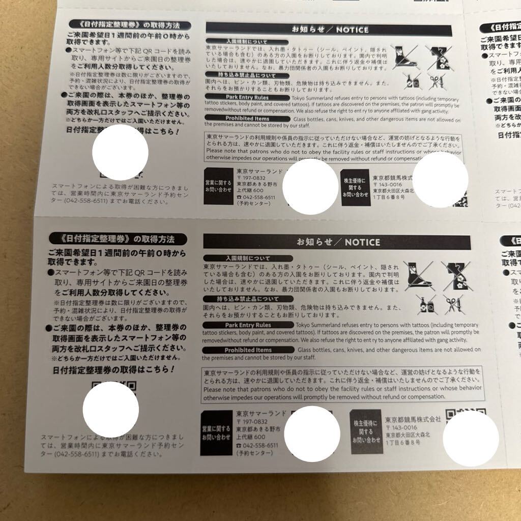 東京サマーランド 株主優待 8枚セット ワンデーパス の画像4