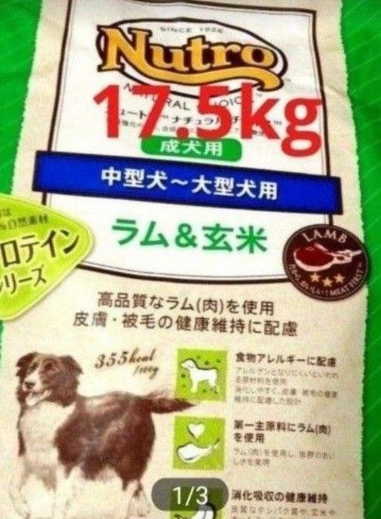 ニュートロナチュラルチョイス   ラム＆玄米  中型犬   大型犬  成犬用  17.5kg