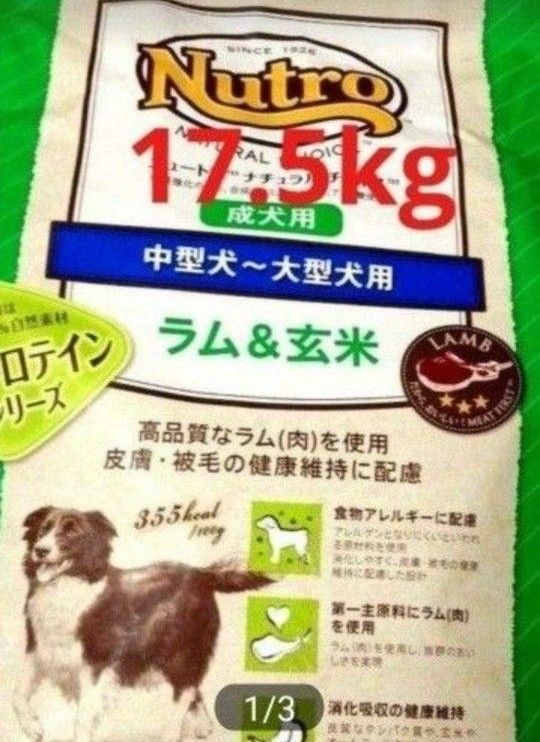 ニュートロナチュラルチョイス   ラム＆玄米    中型犬  大型犬  成犬用   17.5kg