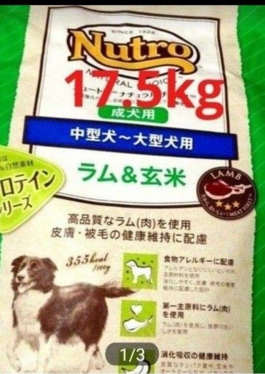 ニュートロナチュラルチョイス   ラム＆玄米   中型犬  大型犬  成犬用    17.5kg