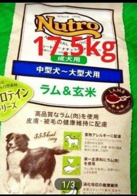 ニュートロナチュラルチョイス   ラム＆玄米   中型犬  大型犬  成犬用  17.5kg