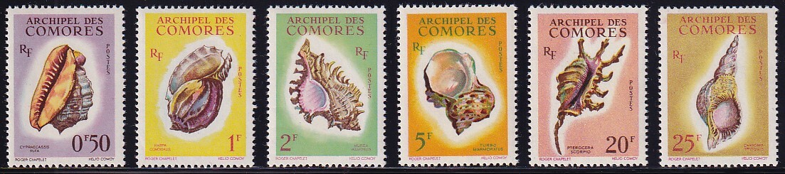 7 コモロ諸島【未使用】＜「1962 SC#48-53 海貝」 6種（6/8, #C5-C6欠）＞ _画像1