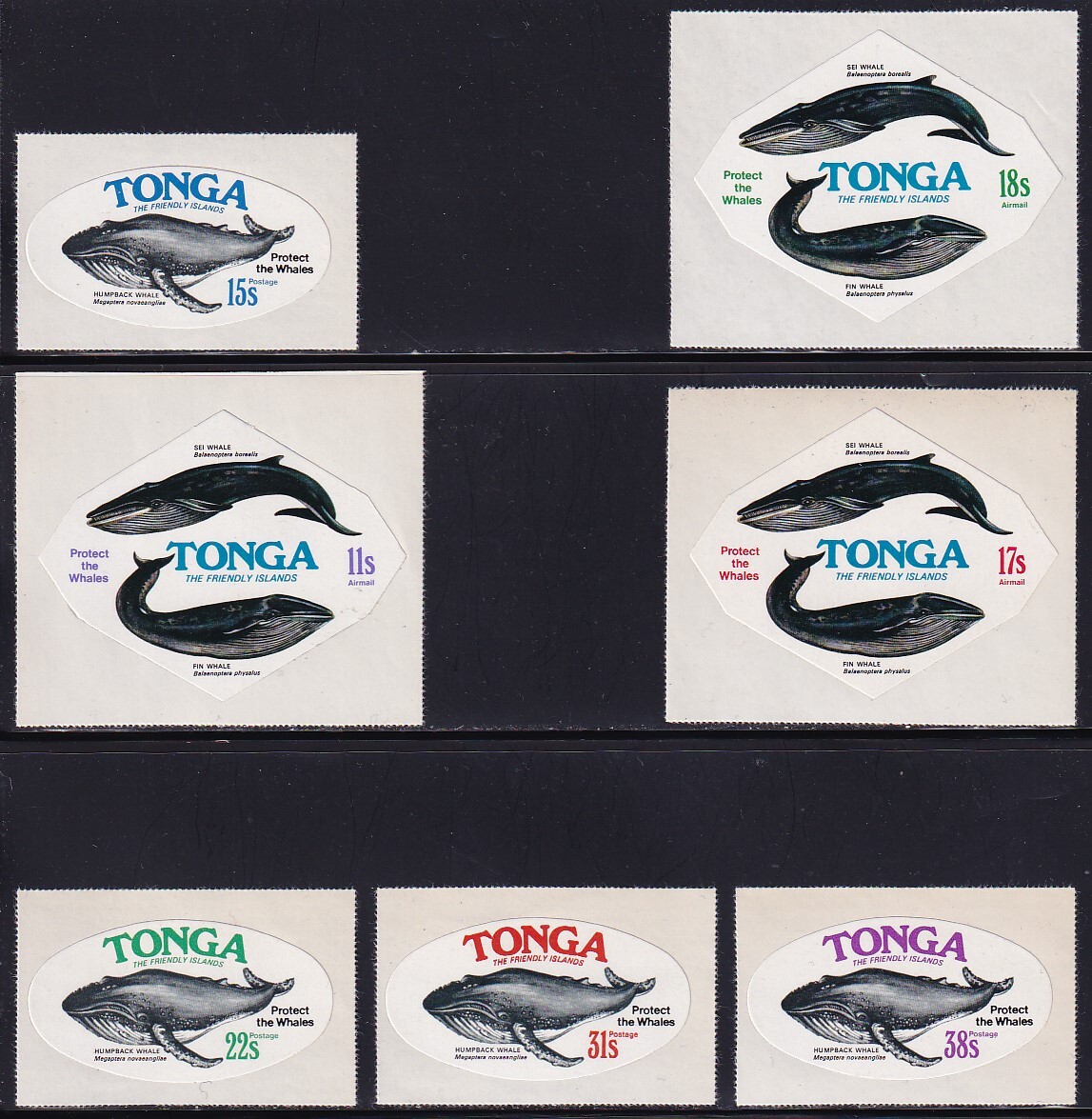 46 トンガ【未使用】＜「1977 自然保護・クジラ」 13種完(セルフ糊) ＞の画像1