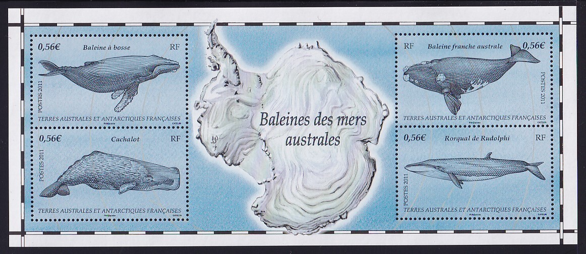 5 フランス領南方南極地域【未使用】＜「2011 クジラ」 組合せ・小型シート(縦ペア2組・4種) ＞の画像1