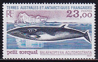 3 フランス領南方南極地域【未使用】＜「1995 クジラ」＞の画像1