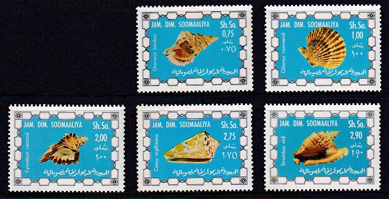 12 ソマリア【未使用】＜「1976 SC#431-435 貝」 5種(5/6, #430欠) ＞ の画像1