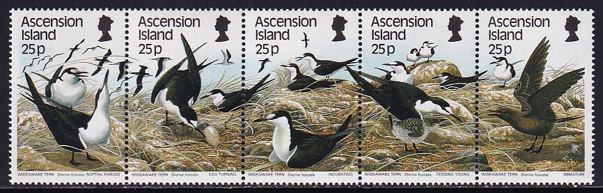 1 アセンション諸島【未使用】＜「1988 海鳥・すすアジサシ」 5種完(ストリップ) ＞ の画像1